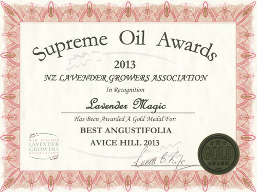 Lavender Magic Gold - Avice Hill