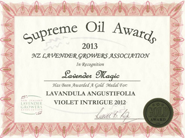 Lavender Magic wins Gold with Violet Intrigue