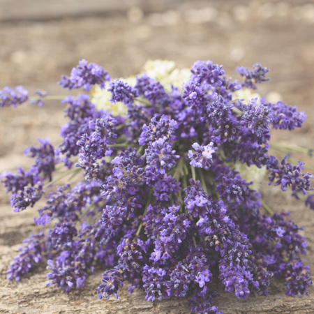 Lavender (NZ) essential oil