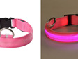 LED Dog Collars - Blue, Red, Pink, Black