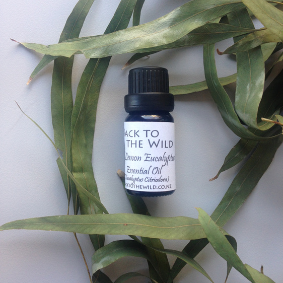 lemon eucalyptus essential oil natural affordable nz