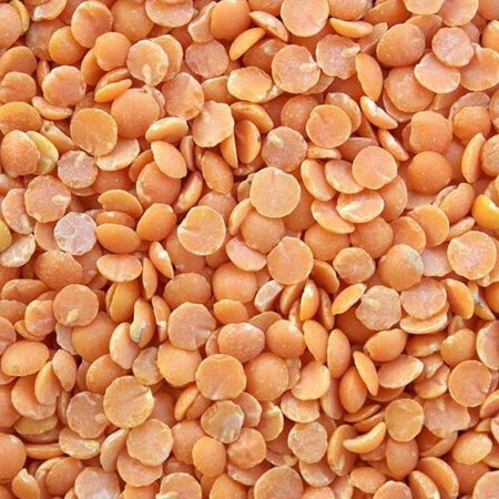Lentils Red Split Organic Dried Approx 100g