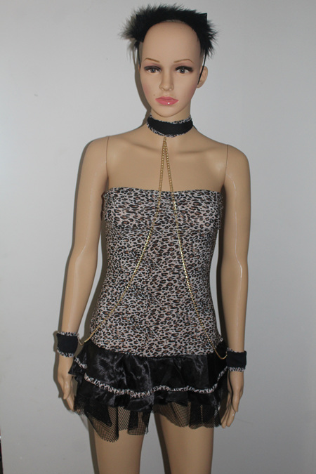 Leopard Print Costume