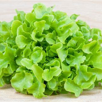 Lettuces Mixed Organic & Spray-free