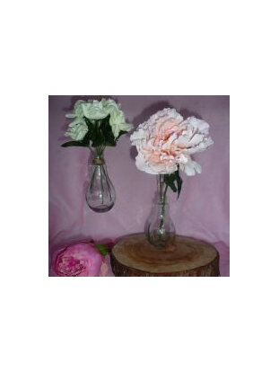 Light Bulb Vases - can hang or sit - 14cm x 7cm