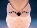 Lil Dreamers Owl Soft Touch LED Light