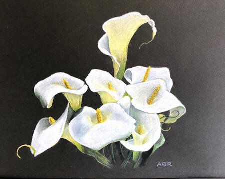 Lillies (pastel)