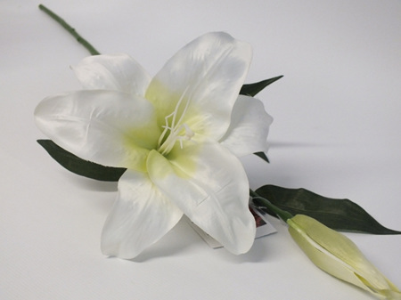 Lily Oriental Stem white 4204