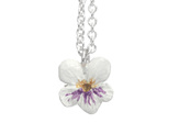 lilygriffin violet native nz flower white purple pansy sterling silver pendant