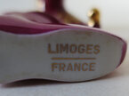 Limoges boots