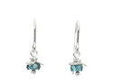 London Blue Topaz Rosehips sterling silver earrings November birthstone nz