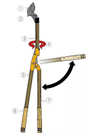 Long reach loppers for pruning