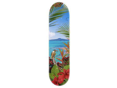 Lucy G Kingfisher Reef Skateboard Deck Art