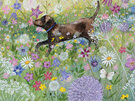 Lucy Grossmith In the Garden 8 Notecards 4 of 2 Designs