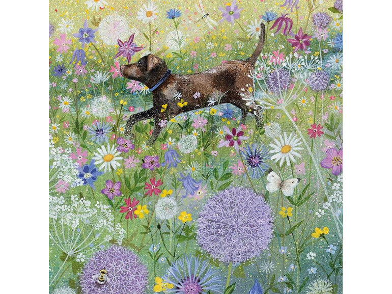 Lucy Grossmith In the Garden 8 Notecards 4 of 2 Designs