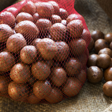 Macadamia Nut-in-Shell 1.0kg 2021 season