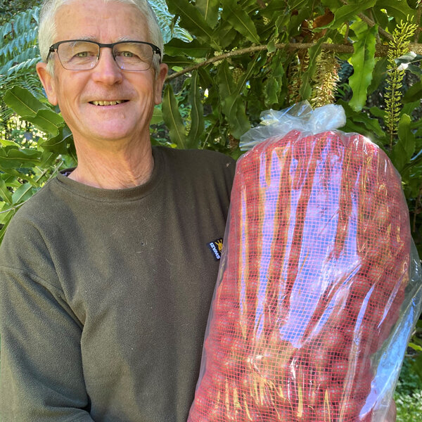 Macadamia Nut-in-Shell 10kg CLASSIC GRADE 2023