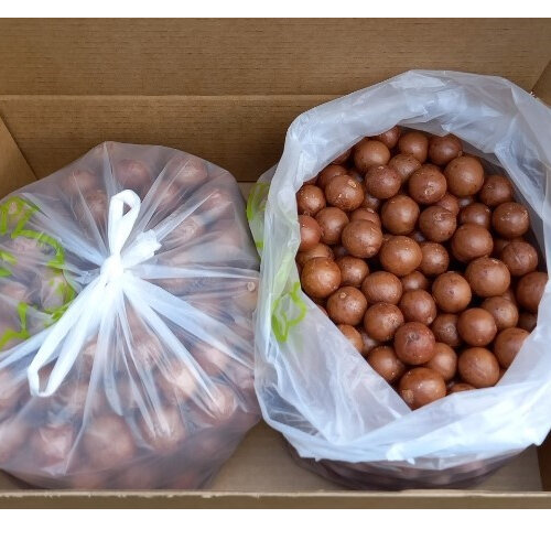 Macadamia Nut-in-Shell 4.5kg PREMIUM GRADE 2024