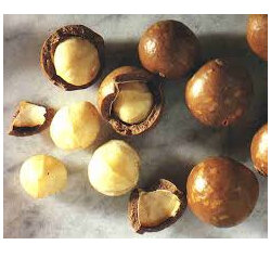 Macadamia Raw NZ Premium Grade Spray Free - 100g