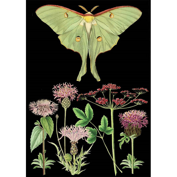 Madame Treacle Green Moth & Pink Flowers Card