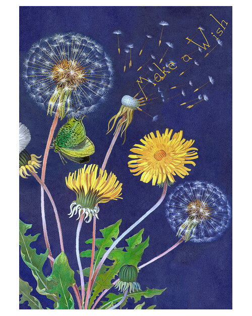 Madame Treacle - Make A Wish Card dandelion flowers