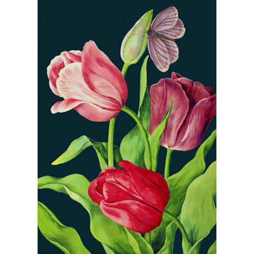 Madame Treacle Midnight Tulips Card