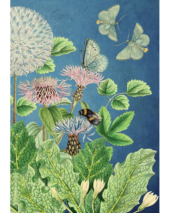 Madame Treacle - Pinky's Garden Glittered Card butterflies