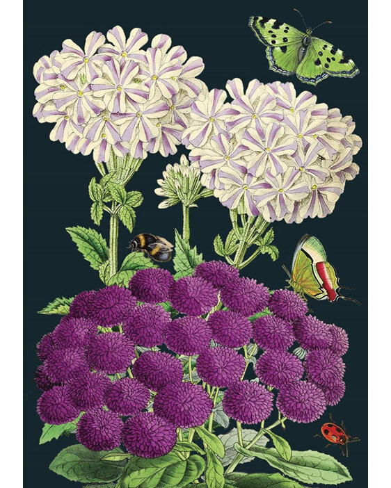 Madame Treacle Purples Flowers Card