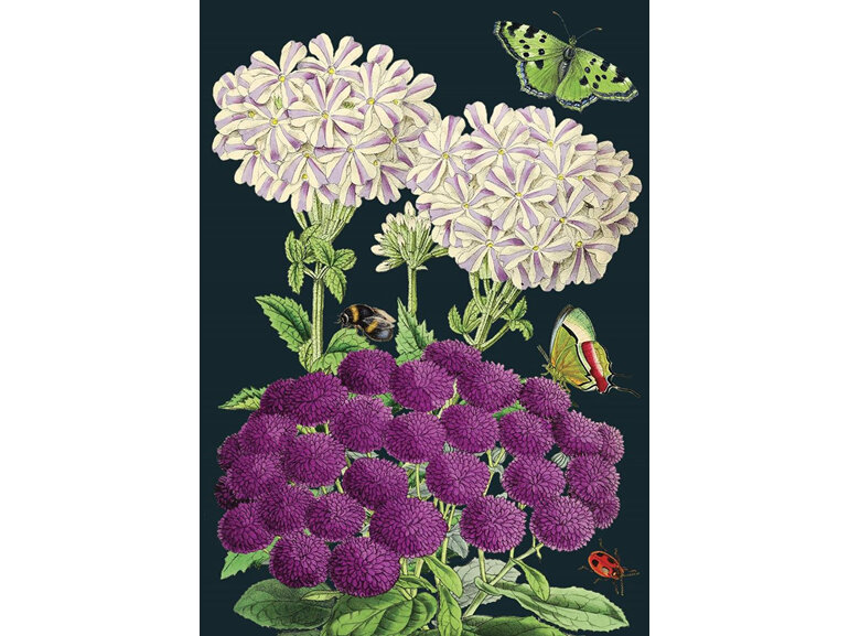 Madame Treacle Purples Flowers Card
