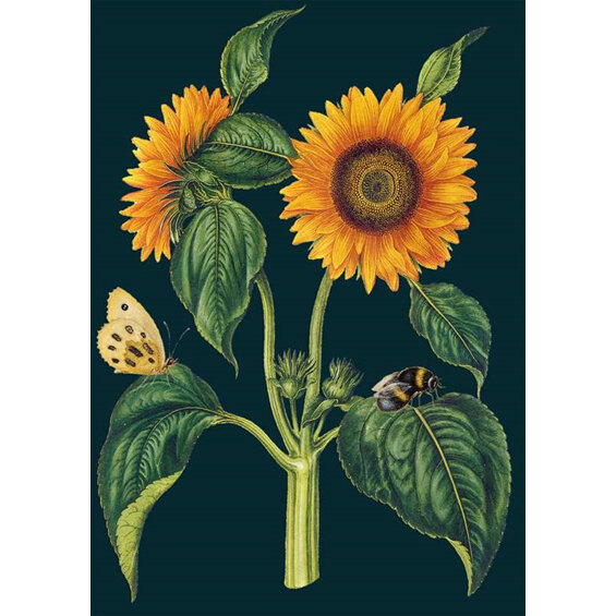 Madame Treacle - Sunflower Card
