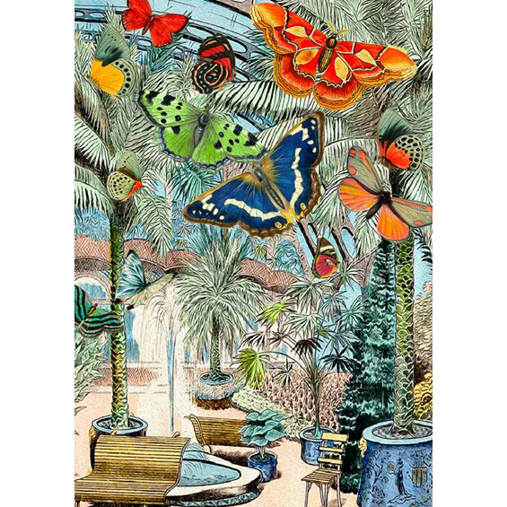 Madame Treacle The Butterfly House Card
