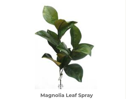 Magnolia Leaf Spray 76cm Green