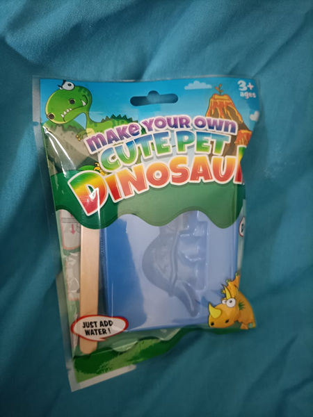 Make your own Dinosaur Pet