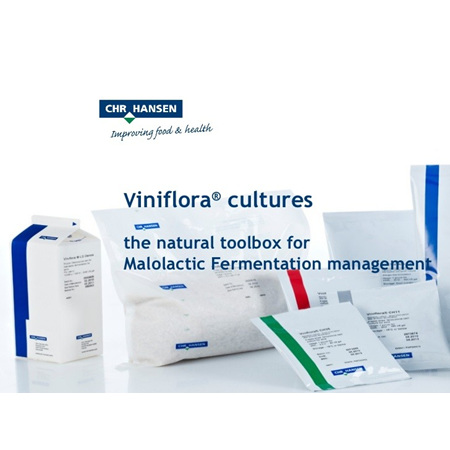 Malolactic Bacteria Culture (MLF) 1.5g (for 250L wine) Viniflora Oenos