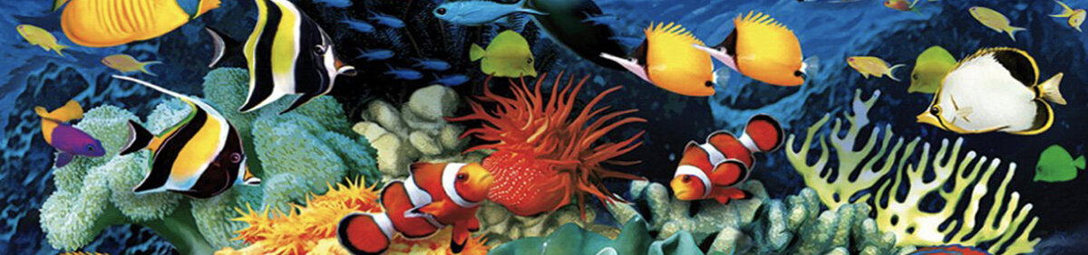 Marine Life Themed Jigsaw Puzzles available online at www.puzzlesnz.co.nz