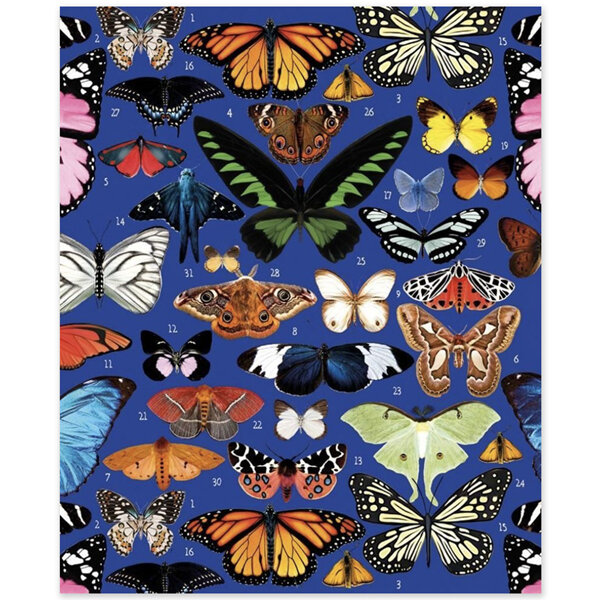Mary Katrantzou Butterflies Card