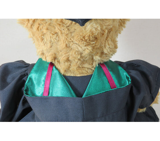 Masters of Health Psychology Roly Bear with Hood
