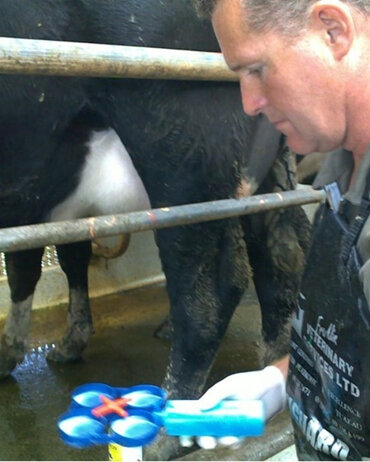 Mastitis testing