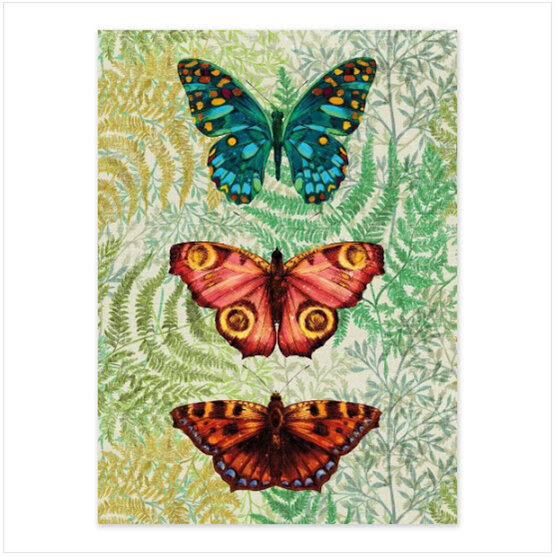 Matthew Williamson Butterfly Ferns Card