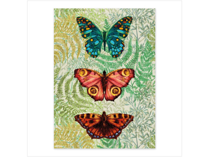Matthew Williamson Butterfly Ferns Card