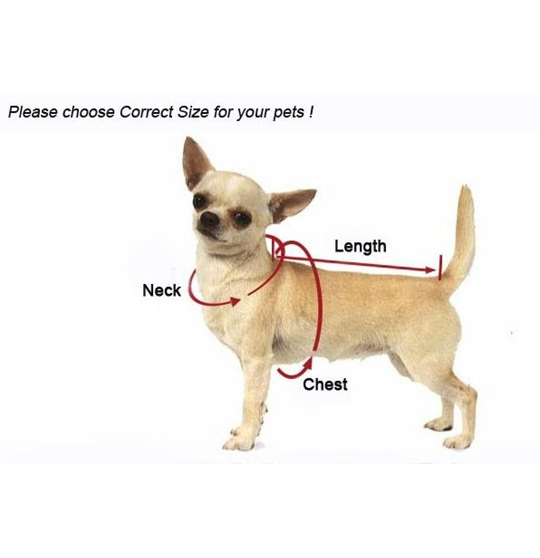 Measure your dog for a comfortable fit