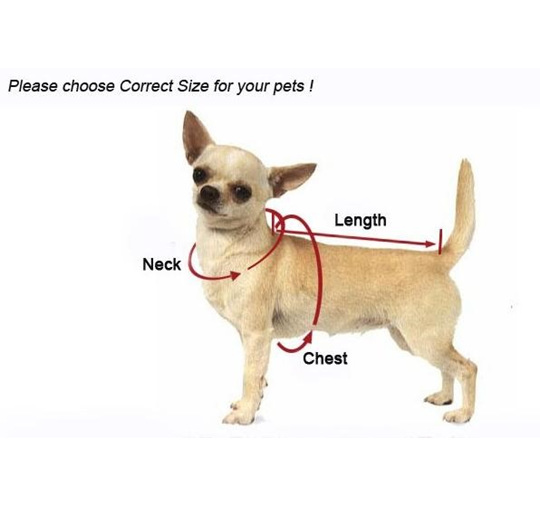 Measure your dog for a comfortable fit