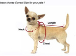 Measure your dog to ensure a comfortable fit