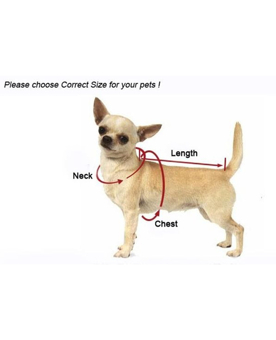 measuring your dog