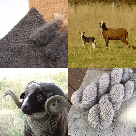 Merino and Arapawa yarn and kits