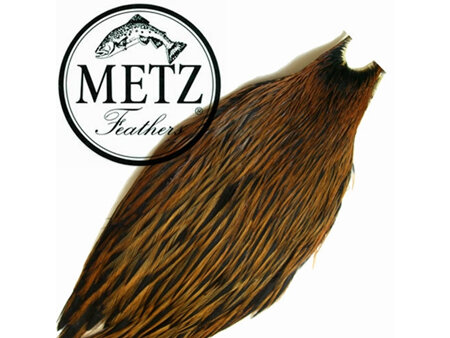 Metz #1 Hen Neck