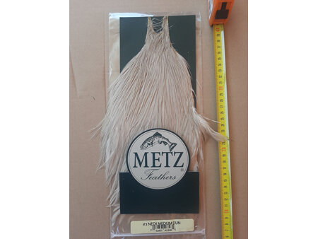 Metz #3 Medium Dun Neck
