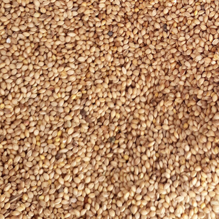 Millet plain 2.5 kg