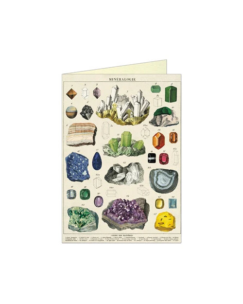 Mineralogie Card cavallini and co
