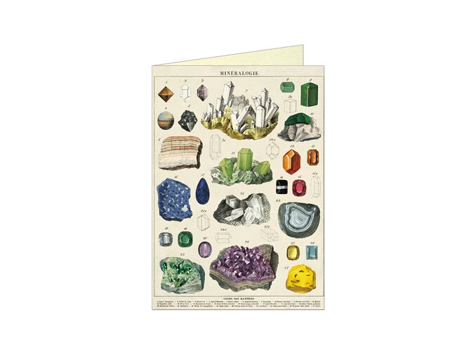 Mineralogie Card cavallini and co